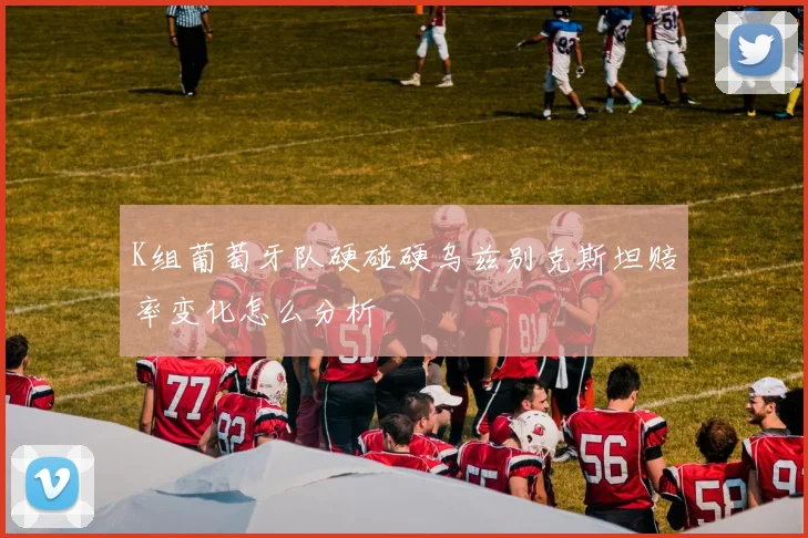 K组葡萄牙队硬碰硬乌兹别克斯坦赔率变化怎么分析